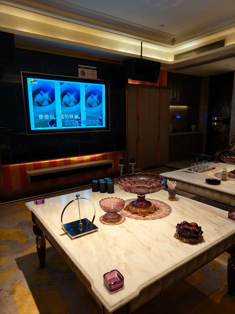 菏泽商务ktv有没有合适包间选择-东明县ktv预订